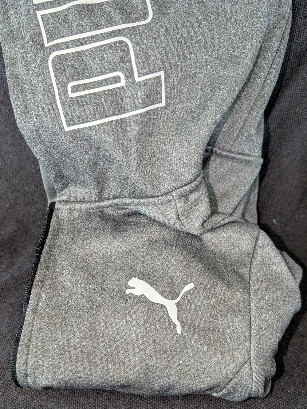 Puma Gray and White Logo Kids Hoodie
